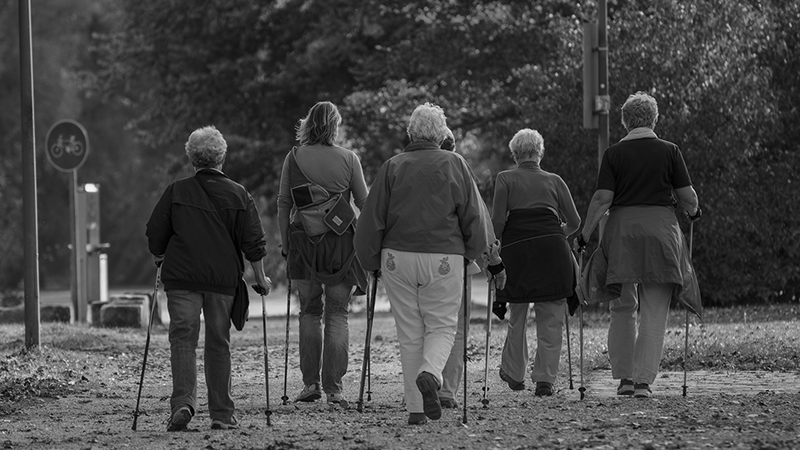 Gesundheitszentrum LUDGERUSHOF - Gesundheitsbegleitung Walking